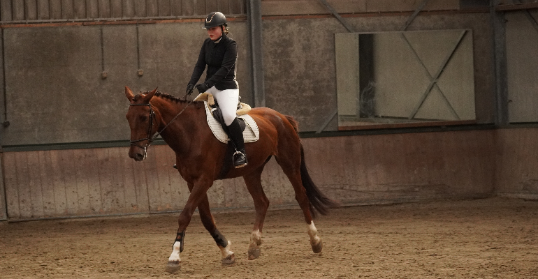 Wat is jouw talent? 